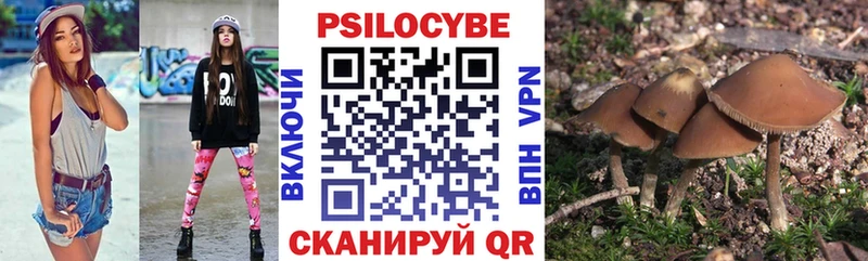 Псилоцибиновые грибы мицелий закладка Сосногорск